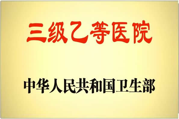 三乙